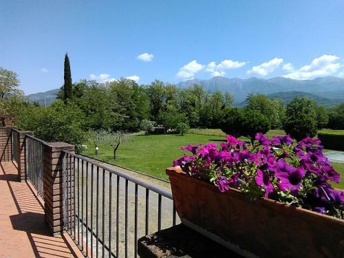 Coriana Apartments & Villas