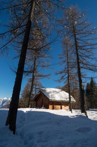 Camping Village Yolki Palki