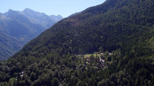 Camping Village Yolki Palki