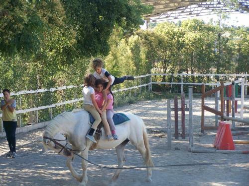 Agroturismo Tenuta Colle San Pietro