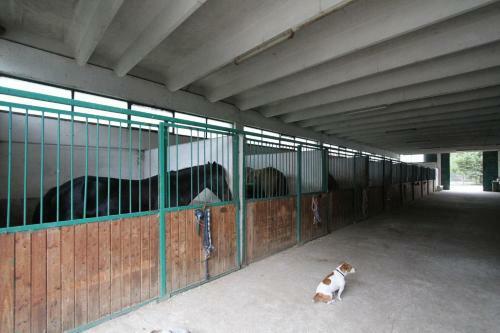 Agroturismo Tenuta Colle San Pietro