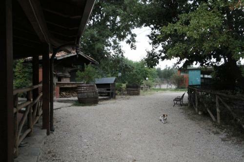 Agroturismo Tenuta Colle San Pietro