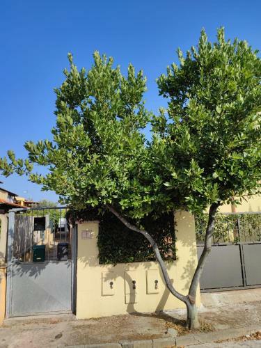 Apartamento Pula White Experience South Sardinia