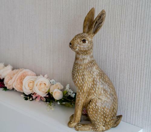 Lodge Hollicarrs Holiday Park - Hares Leap