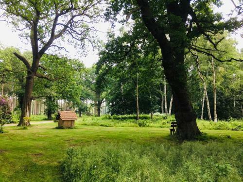 Lodge Hollicarrs Holiday Park - Hares Leap
