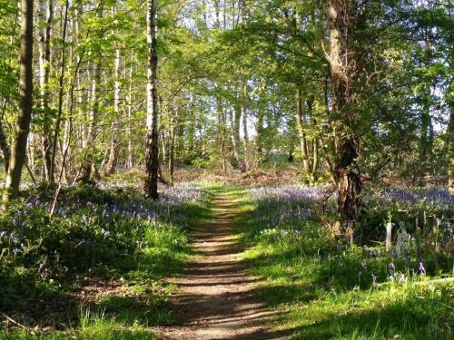 Lodge Hollicarrs Holiday Park - Hares Leap