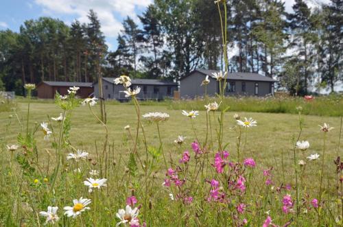 Lodge Hollicarrs Holiday Park - Hares Leap