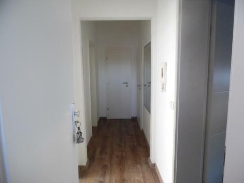 Apartamento G�stewohnung Mit K�che Magdeburg An Der Elbe
