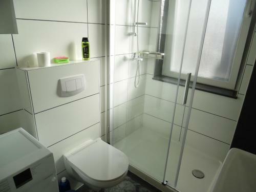 Apartamento G�stewohnung Mit K�che Magdeburg An Der Elbe