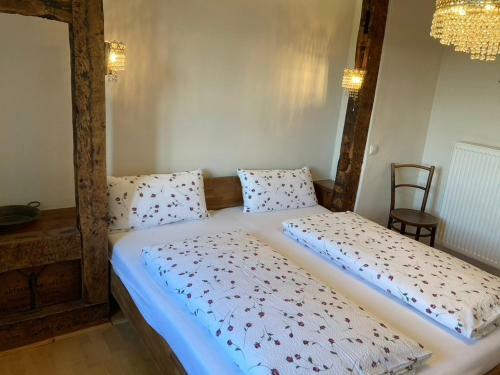 Apartamento Schatztruhe - Ferienwohnung