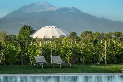 Agroturismo Tenuta La Borghetta