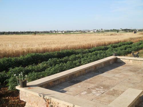 Agroturismo Agriturismo Tenuta Perruzzi