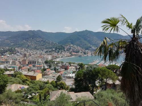 Apartamento Finestra Sul Golfo