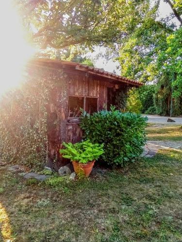 Apartamento Lo Spazio Creativo