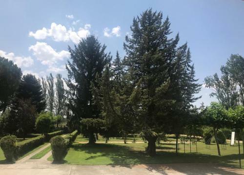 Villa Los Tamarindos