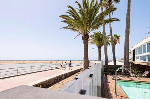 Oasis Of Maspalomas