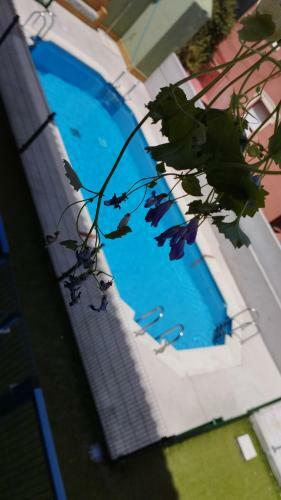 Bed & Breakfast Suit Piscina Y Terraza