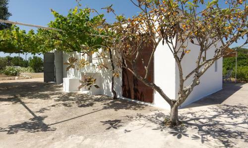 Apartamento Lamia Madreperla