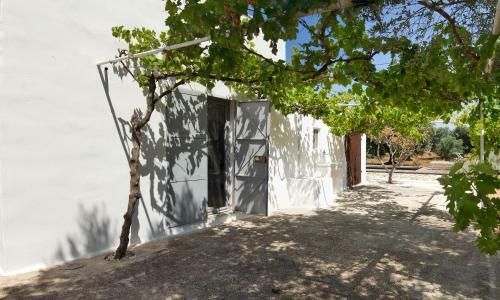 Apartamento Lamia Madreperla