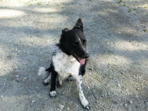 Agroturismo Huterhof