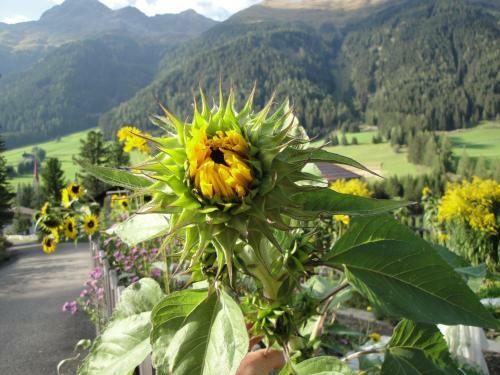 Agroturismo Huterhof