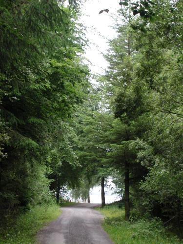 Hostal Clancys Of Glenfarne