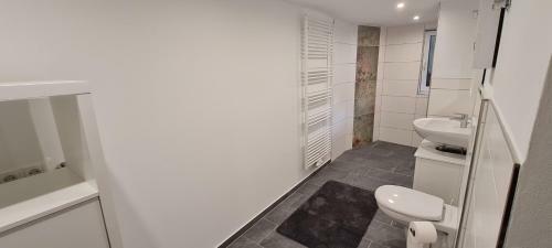 Apartamento Ferienwohnung Ludwigs Hof Miehlen