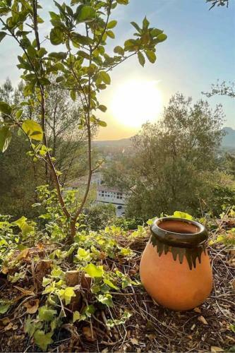 Cocon Proven�al Entre Mer Et Colline Proche Cassis