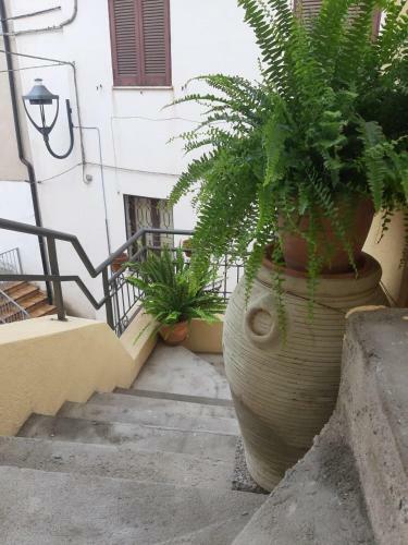B&B Casa Vacanze Re&bi House