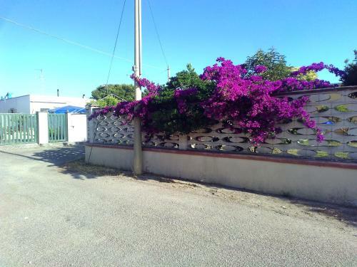 La Villeta Dei Mille Colori