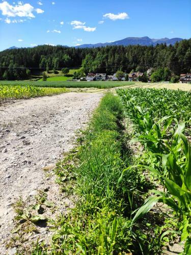 Maurerhof Apartments Kronplatz