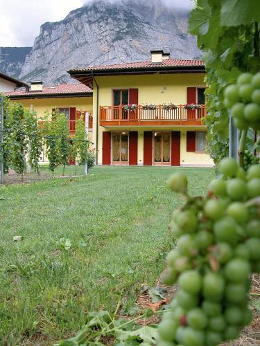 Agroturismo Agritur Ai Masi