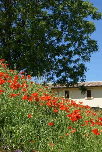 Agroturismo La Perticara Agriturismo