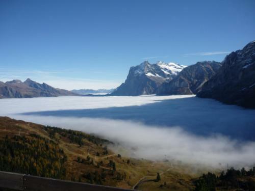 Albergue Berghaus Grindelwaldblick