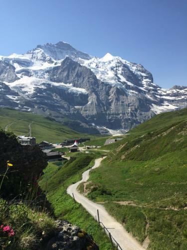 Albergue Berghaus Grindelwaldblick