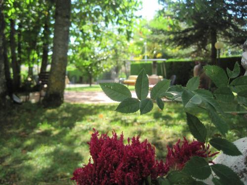 Hotel Gioia Garden