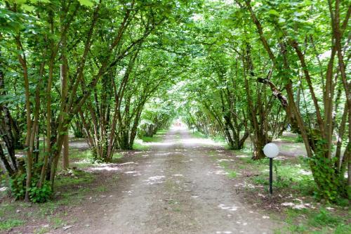 Bed & Breakfast La Finestra Sul Lago