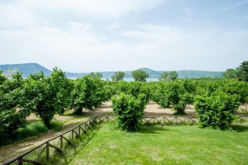 Bed & Breakfast La Finestra Sul Lago