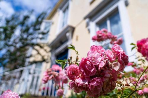 Ferry House Bed & Breakfast