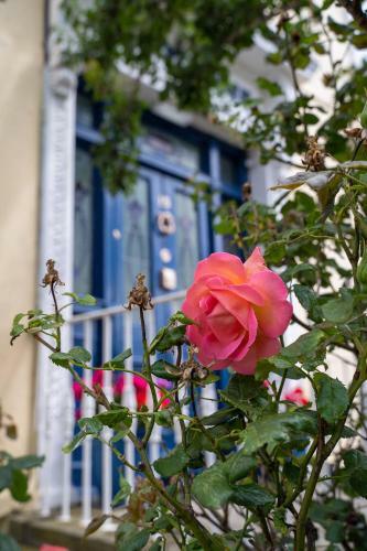 Ferry House Bed & Breakfast