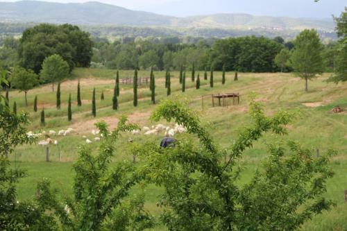 Agroturismo Fattoria Tabarrino
