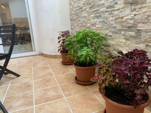 Apartamento Patio Port Serrallo