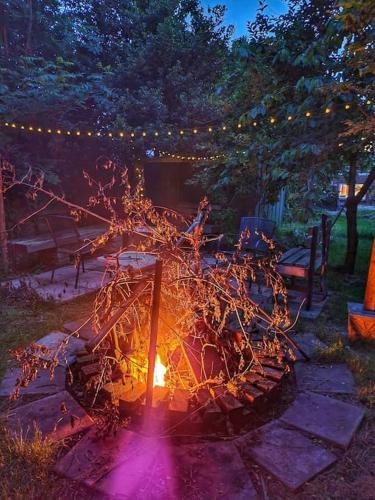 The Apple And Plum Cottage Studio Apartment New