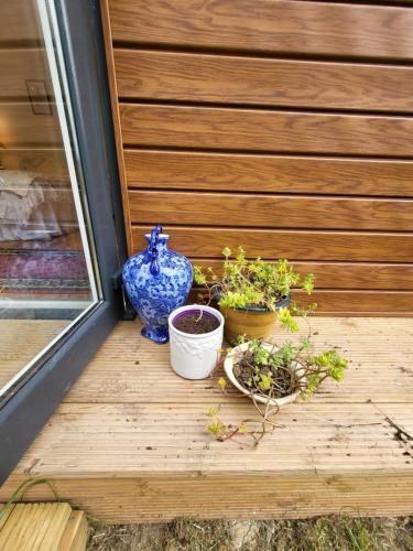 The Apple And Plum Cottage Studio Apartment New