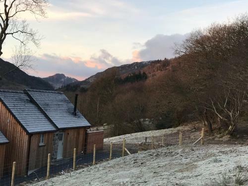 Gelli Newydd