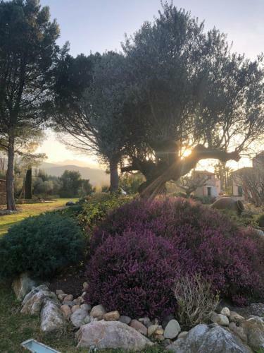 Mas Tramontane : Studio Les Orgues Class� 4 �toiles