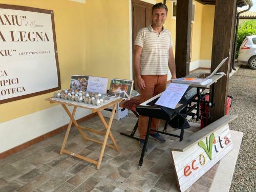 Ecovita Agri-glamping