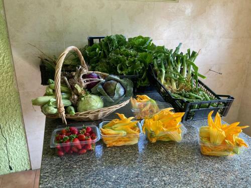 Ecovita Agri-glamping
