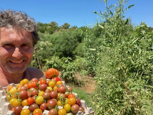 Ecovita Agri-glamping