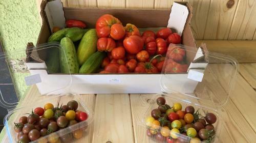 Ecovita Agri-glamping